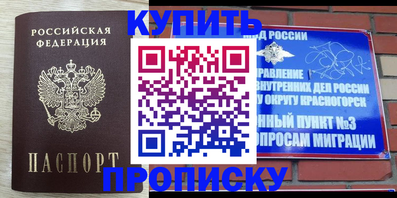 прописка гарантия в Калининградской области